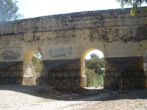 Acueducto-aqueduct